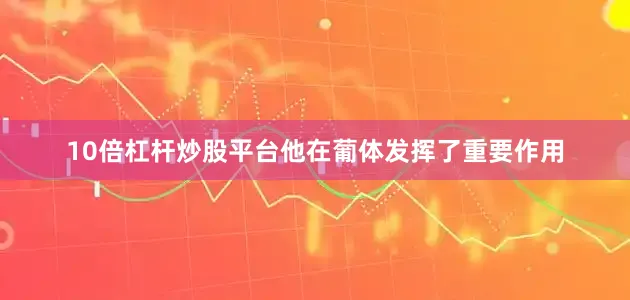 10倍杠杆炒股平台他在葡体发挥了重要作用